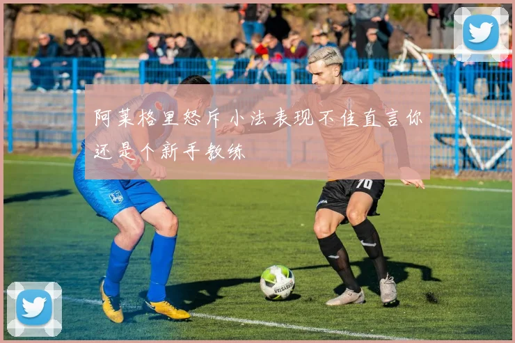 阿莱格里怒斥小法表现不佳直言你还是个新手教练