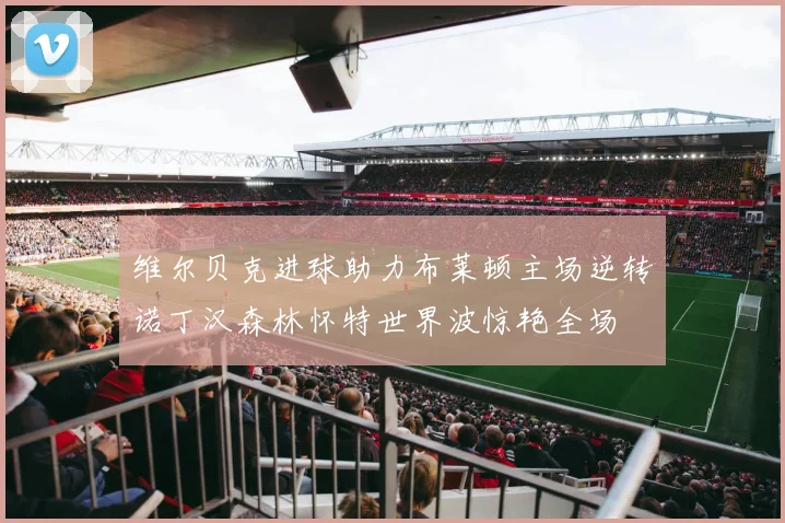 维尔贝克进球助力布莱顿主场逆转诺丁汉森林怀特世界波惊艳全场