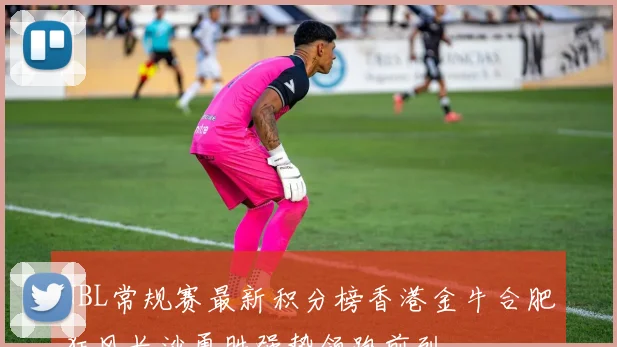NBL常规赛最新积分榜香港金牛合肥狂风长沙勇胜强势领跑前列