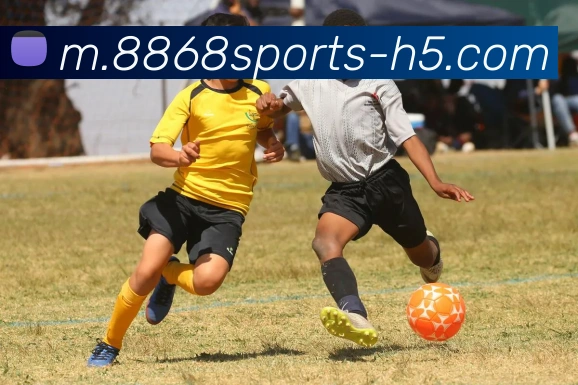 8868体育品牌故事